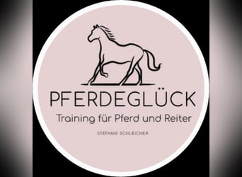 Individuelles Pferdetraining vor Ort 