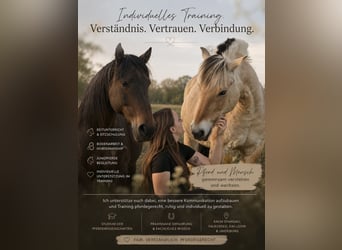 Pferdeausbildung & Training | Reitunterricht, Bodenarbeit, Jungpferde-/Problempferdeausbildung
