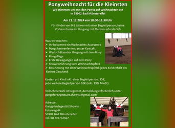 Ponyweihnacht für die Kleinsten