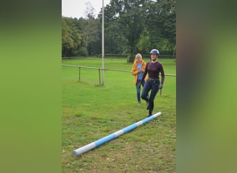 Reiten mit Freude - Individuelles Coaching für Sie und ihr Pferd! Gerne auch bei ihnen vor Ort.