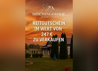 Reitgutschein für Mischingerhof
