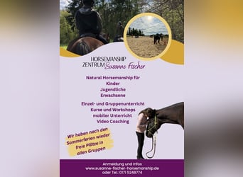 Reitunterricht Natural Horsemanship für Kinder, Jugendliche und Erwachsene