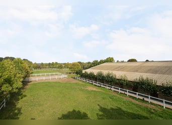 Stables available for Training and students