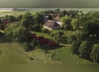 15 ha Reitanlage in Ostseenähe – arrondierte Flächen