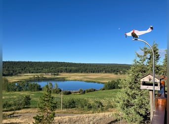 32 ha Hilltop-Ranch. Familien- u. Pferde-Paradies in grandioser Lage. Kanada- British Columbia.
