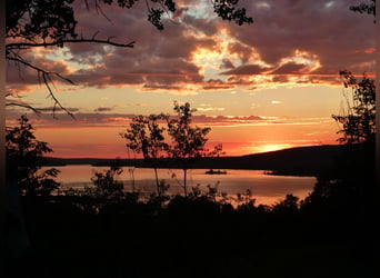 32 ha Hilltop-Ranch. Familien- u. Pferde-Paradies in grandioser Lage. Kanada- British Columbia.