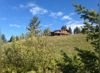 32 ha Hilltop-Ranch. Familien- u. Pferde-Paradies in grandioser Lage. Kanada- British Columbia.