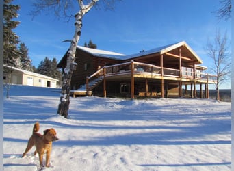 32 ha Hilltop-Ranch. Familien- u. Pferde-Paradies in grandioser Lage. Kanada- British Columbia.