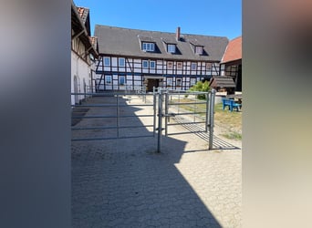 384-25 Reiterhof mit ***Hotel und Pferde-Pensionsbetrieb in Niedersachsen