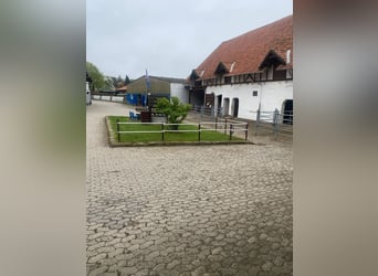 384-25 Reiterhof mit ***Hotel und Pferde-Pensionsbetrieb in Niedersachsen