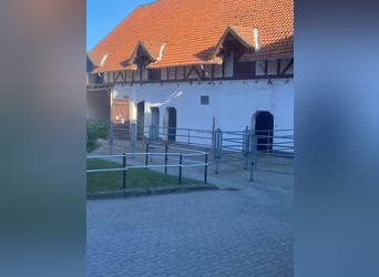 384-25 Reiterhof mit ***Hotel und Pferde-Pensionsbetrieb in Niedersachsen