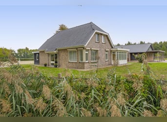 A beautiful location for horse happiness!