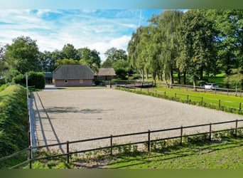 Amazing location for horselovers