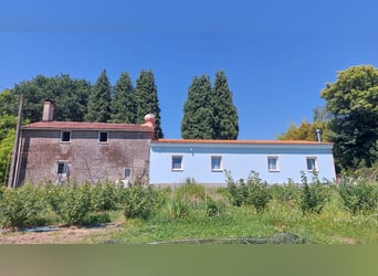 Anwesen mit Haus und privater Reitanlage
