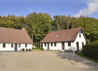 Anzeige endet 31.12.25 Einfamilienhaus mit Pferdeboxen, Reitpaltz, Weiden ( 8ha Land) in Alleinlage 