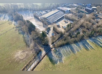 Attraktive Reitanlage zwischen Montabaur und Limburg