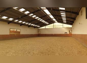 Attraktive Reitanlage zwischen Montabaur und Limburg