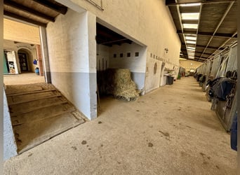 Attraktive Reitanlage zwischen Montabaur und Limburg