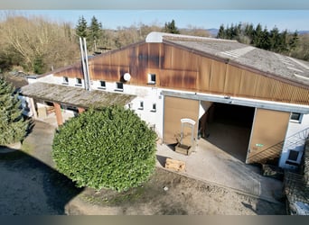 Attraktive Reitanlage zwischen Montabaur und Limburg
