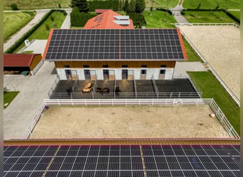 Außergewöhnliche Neubau-Reitanlage nähe Kempten im Allgäu