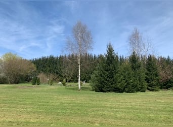 Autarkes Pferde- & Naturparadies (ca. 2,3 ha)mit Eigenwasser, PV-Ertrag & XL-Unterstand bei Landshut