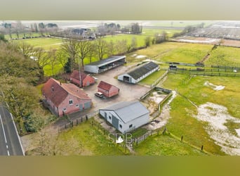 Authentieke hoeve met diverse bijgebouwen en graslanden op 93.155m² - 2300 Turnhout
