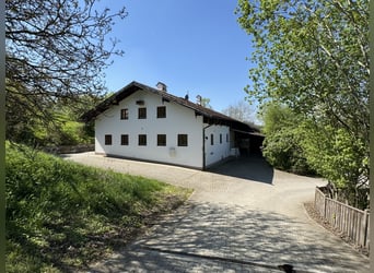 Bauernhof mit Pferdehaltung, 2,5 ha Grund, nahe München