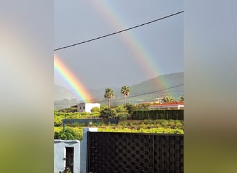 BEAUTIFUL COUNTRYHOUSE FOR LIVING WITH HORSES - WUNDERSCHÖNES LANDHAUS ZUR PRIVATEN PFERDEHALTUNG