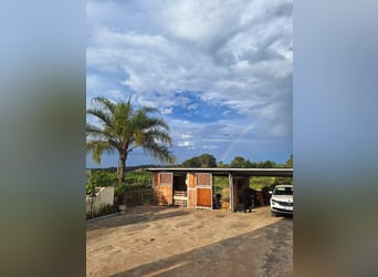 BEAUTIFUL COUNTRYHOUSE FOR LIVING WITH HORSES - WUNDERSCHÖNES LANDHAUS ZUR PRIVATEN PFERDEHALTUNG