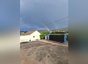 BEAUTIFUL COUNTRYHOUSE FOR LIVING WITH HORSES - WUNDERSCHÖNES LANDHAUS ZUR PRIVATEN PFERDEHALTUNG