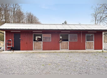 Country Living and Equestrian Lifestyle in Perfect Harmony – Beautiful Home with Pool, Deck, 3,3 ha