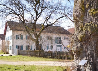 Denkmalprämiertes Jurahaus mit Pferdehof und erstklassiger Reithalle