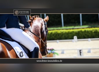Diskrete Kundensuche – Reitanlage im Münsterland / Raum Warendorf gesucht
