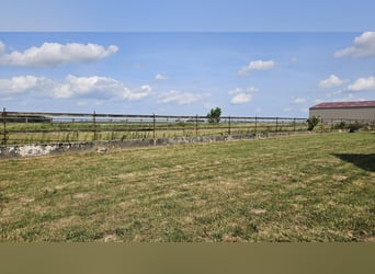 Ecurie de valorisation 