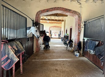 Ecurie de valorisation 