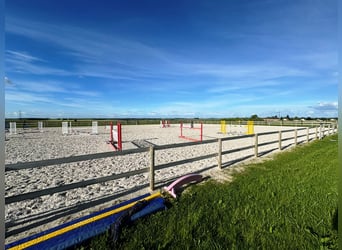 Eigene Besitz- und Aufwertungsställe
