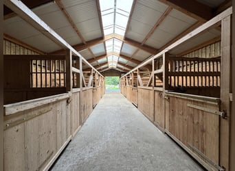 Einzigartiger Pferdehof in traumhafter Alleinlage – ca. 4 ha Eigenland, zwei Wohnhäuser und moderne
