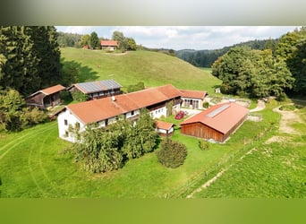 Einzigartiger Pferdehof in traumhafter Alleinlage – ca. 4 ha Eigenland, zwei Wohnhäuser und moderne