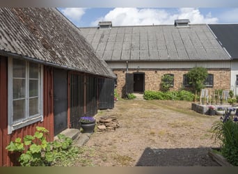 Equestrian Property of Possibilities – Countryside Living with Proximity to Services and Transport