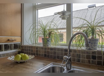 Equestrian Property of Possibilities – Countryside Living with Proximity to Services and Transport