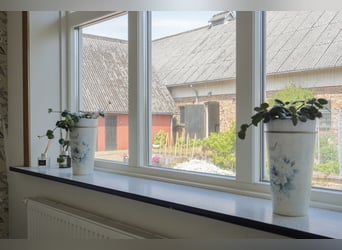Equestrian Property of Possibilities – Countryside Living with Proximity to Services and Transport