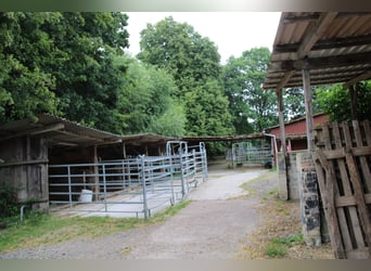 Etablierte Ranch- und Reitanlage – ca. 8 ha arrondierte Fläche – vielseitig nutzbar