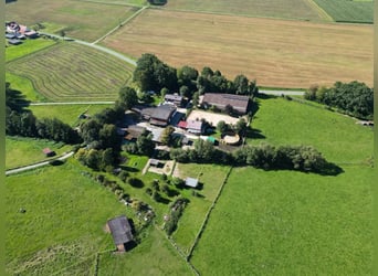 Etablierte Ranch- und Reitanlage – ca. 8 ha arrondierte Fläche – vielseitig nutzbar