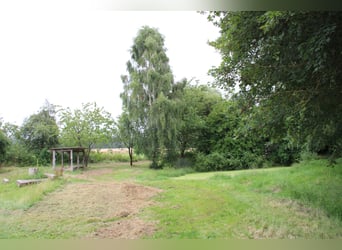 Etablierte Ranch- und Reitanlage – ca. 8 ha arrondierte Fläche – vielseitig nutzbar