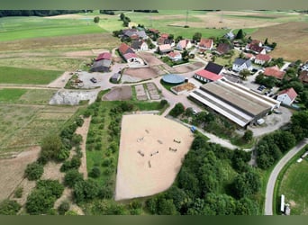 Exklusive Reitanlage im Großraum Nürnberg mit 2 Häusern - Optional weitere Gebäude und Land möglich