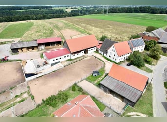 Exklusive Reitanlage im Großraum Nürnberg mit 2 Häusern - Optional weitere Gebäude und Land möglich