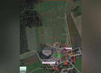 Exklusive Reitanlage im Großraum Nürnberg mit 2 Häusern - Optional weitere Gebäude und Land möglich