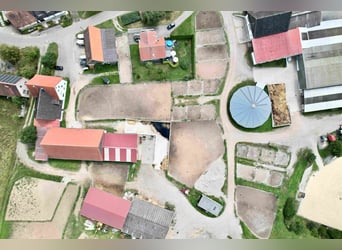 Exklusive Reitanlage im Großraum Nürnberg mit 2 Häusern - Optional weitere Gebäude und Land möglich