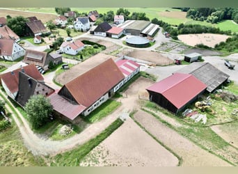 Exklusive Reitanlage im Großraum Nürnberg mit 2 Häusern - Optional weitere Gebäude und Land möglich