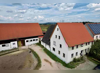Exklusive Reitanlage im Großraum Nürnberg mit 2 Häusern - Optional weitere Gebäude und Land möglich